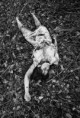 /album/crime-scene-series-examples/crime-scene4-jpg/